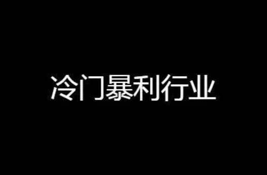 超级排名平台带你了解有哪些年收入30万左右的副业？  